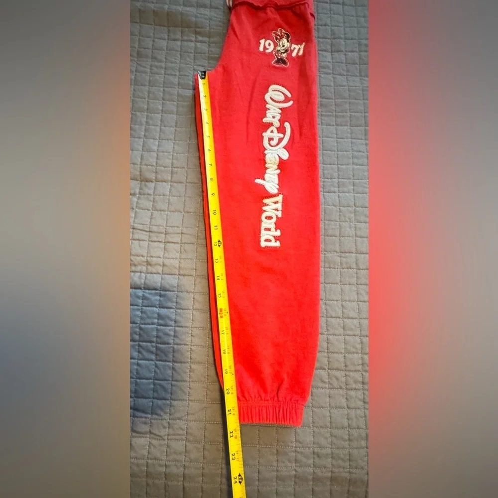DiSNEY PARKE AUTHENTIC GRIGINAL